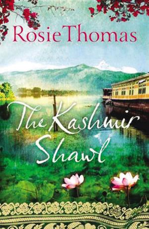 Book cover of The Kashmir Shawl