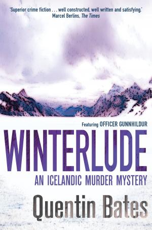 Cover of the book Winterlude by James Robertson