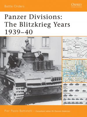 Cover of the book Panzer Divisions by Richard Stevenson