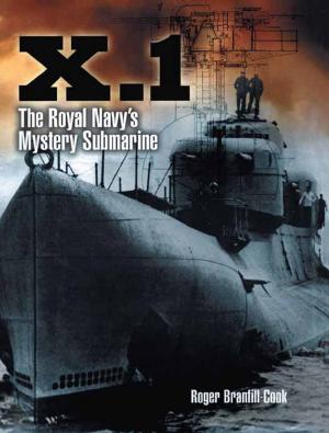 Cover of the book X.1 by Roy Ingleton