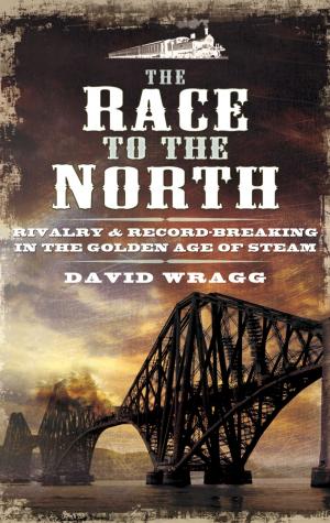 Book cover of The Race to the North