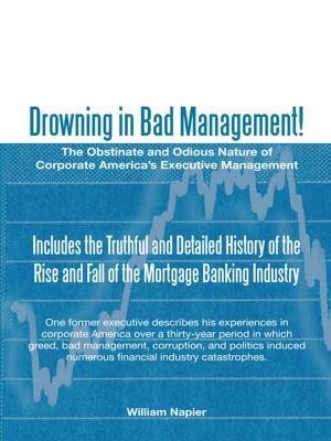 Cover of the book Drowning in Bad Management! by Robin Fawsett