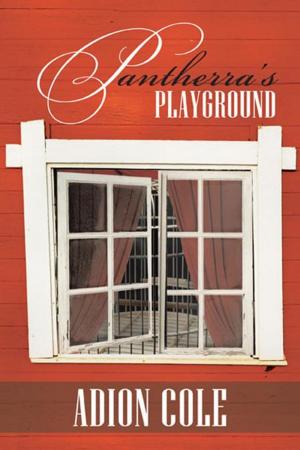 Cover of the book Pantherra’S Playground by Anna Bain-Marie
