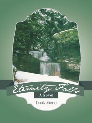Book cover of Eternity Falls