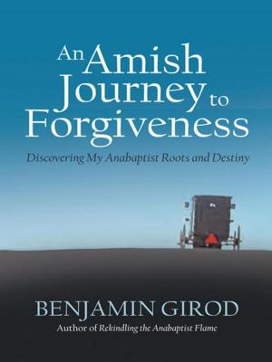 Cover of the book An Amish Journey to Forgiveness by Nancy Milton CPCC ACC