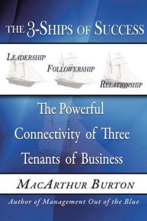 Cover of the book The 3-Ships of Success by Willie Waffle