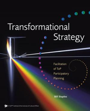 Cover of the book Transformational Strategy by John Andes