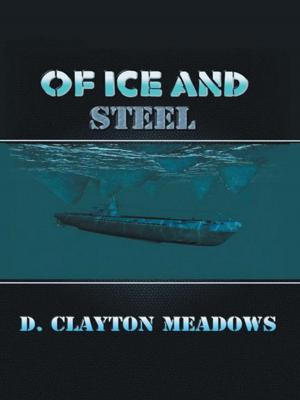 Cover of the book Of Ice and Steel by Andreas Schmidt