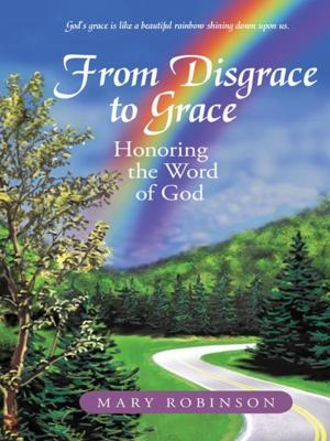 Cover of the book From Disgrace to Grace by Patrick D. Williams