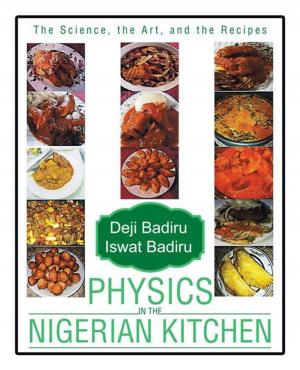 Cover of the book Physics in the Nigerian Kitchen by Athena Alliance Members