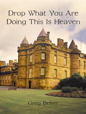 Cover of the book Drop What You Are Doing This Is Heaven by C. Denise Knox