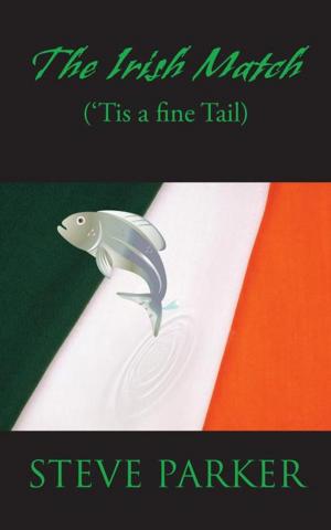 Book cover of The Irish Match