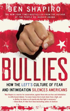 Cover of the book Bullies by Jack Cashill
