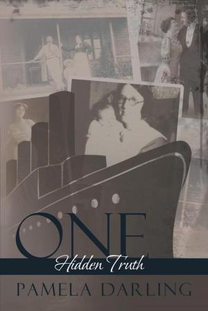 Cover of the book One Hidden Truth by Louis Hernandez Jr.