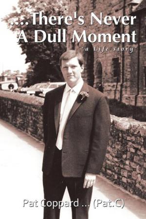 Cover of the book ....There's Never a Dull Moment by Michael Paul Metzger