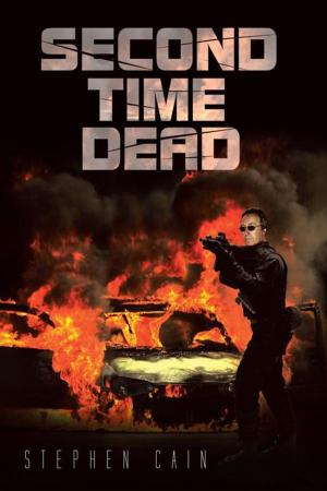 Cover of the book Second Time Dead by V. A. Herbert