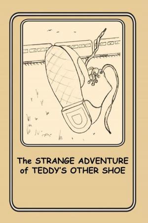 Cover of the book The Strange Adventure of Teddy's Other Shoe by Matthew M. Radmanesh