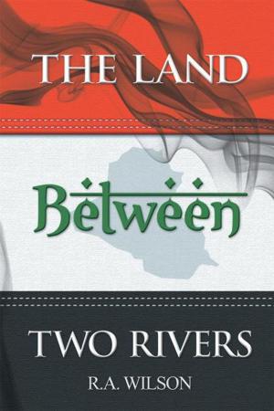 Cover of the book The Land Between Two Rivers by Marguret F Boe