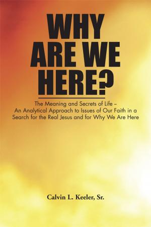 Cover of the book Why Are We Here? by Dr. David S. Igneri, Maria Hansson