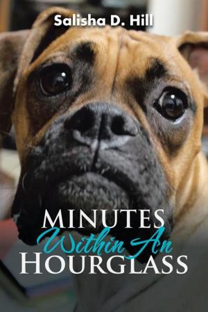 Cover of the book Minutes Within an Hourglass by Glenda Price