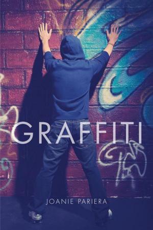 Cover of the book Graffiti by Jessica Fulcher