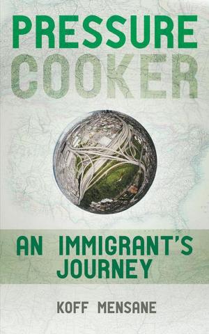Cover of the book Pressure Cooker by Patricia Huff