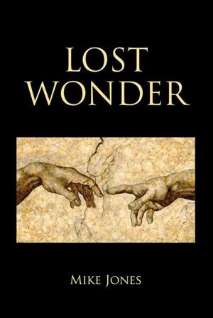 Book cover of Lost Wonder