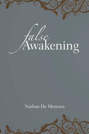 Cover of the book False Awakening by Ashley DD Hajny
