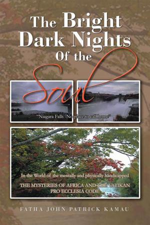 Book cover of The Bright Dark Nights of the Soul