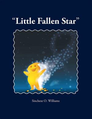 bigCover of the book Little Fallen Star by 