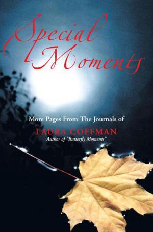 Cover of the book Special Moments by Mary Lou Widmer