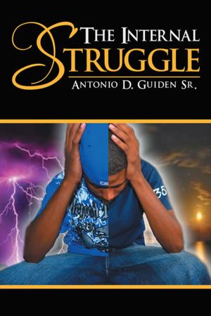 Cover of the book The Internal Struggle by Meryl Taylor