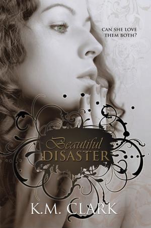 Cover of the book Beautiful Disaster by LostLenny