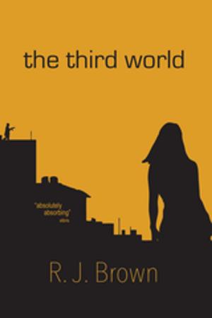 Cover of the book The Third World by JK Kulski