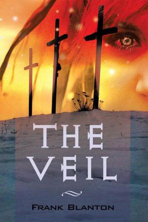 Cover of the book The Veil by George Lappe