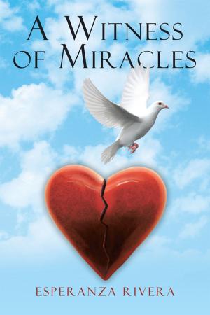 Cover of the book A Witness of Miracles by Robert D. Makepeace