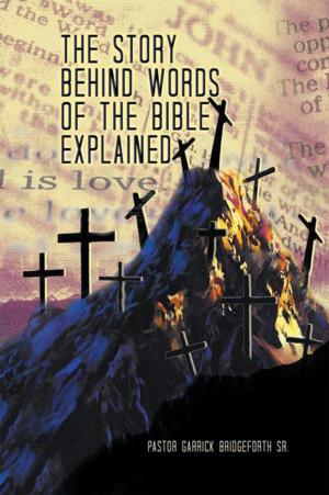 Cover of the book The Story Behind Words of the Bible Explained by James M. Lipuma