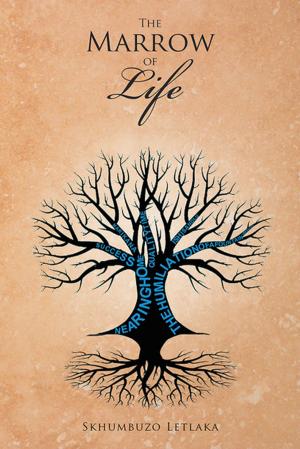 Cover of the book The Marrow of Life by Nonhlanhla Mnisi