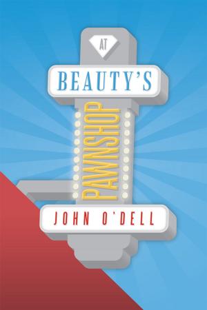 Cover of the book At Beauty's Pawnshop by Mary Nighthawk
