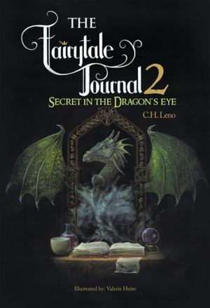 Cover of the book The Fairytale Journal 2: Secret in the Dragon’S Eye by Shaneka L.  Starr Pittman