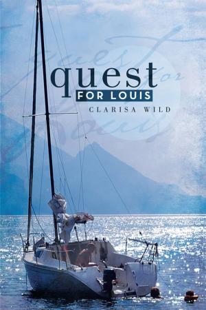 Cover of the book Quest for Louis by Jim Timmermans