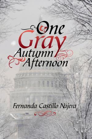 Cover of the book One Gray Autumn Afternoon by Elizabeth Martin