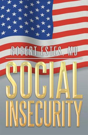 bigCover of the book Social Insecurity by 