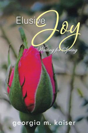 Cover of the book Elusive Joy by Nicholas Conlon