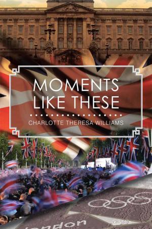 Cover of the book Moments Like These by D.C. Happy Hermit