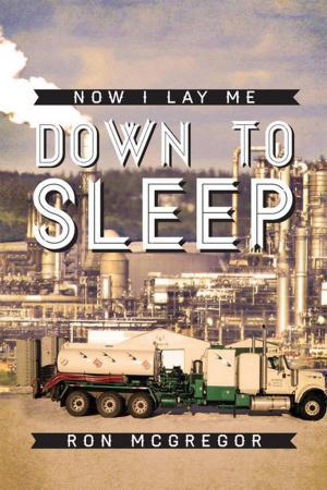 Cover of the book Now I Lay Me Down to Sleep by B. Robert Manne