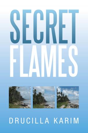 Cover of the book Secret Flames by d l davies
