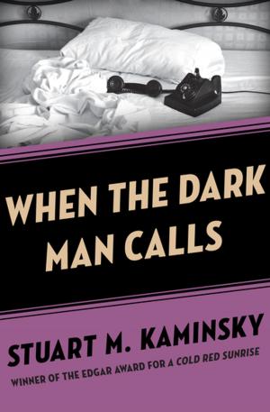 Cover of the book When the Dark Man Calls by C.P. Adams