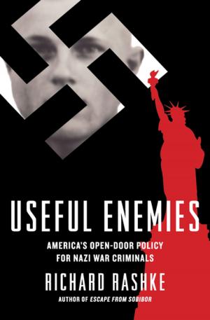 Cover of the book Useful Enemies by Adam Schuitema