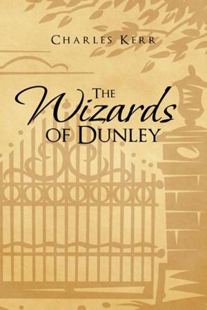 Cover of the book The Wizards of Dunley by FESTUS ARINZE ALIBA